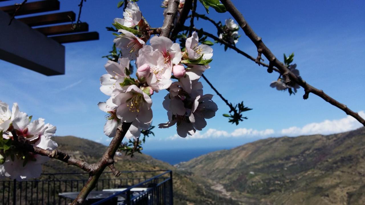 Bed and Breakfast Contrada Carmine Reitano  Экстерьер фото
